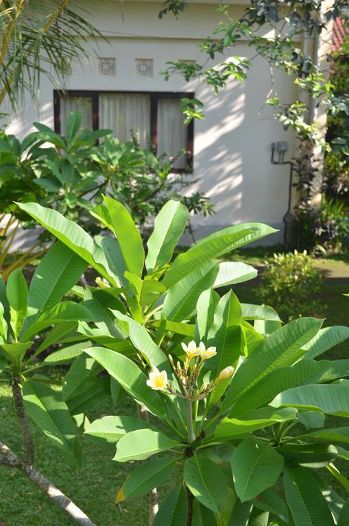 Wijaya Guest House Ubud Eksteriør bilde
